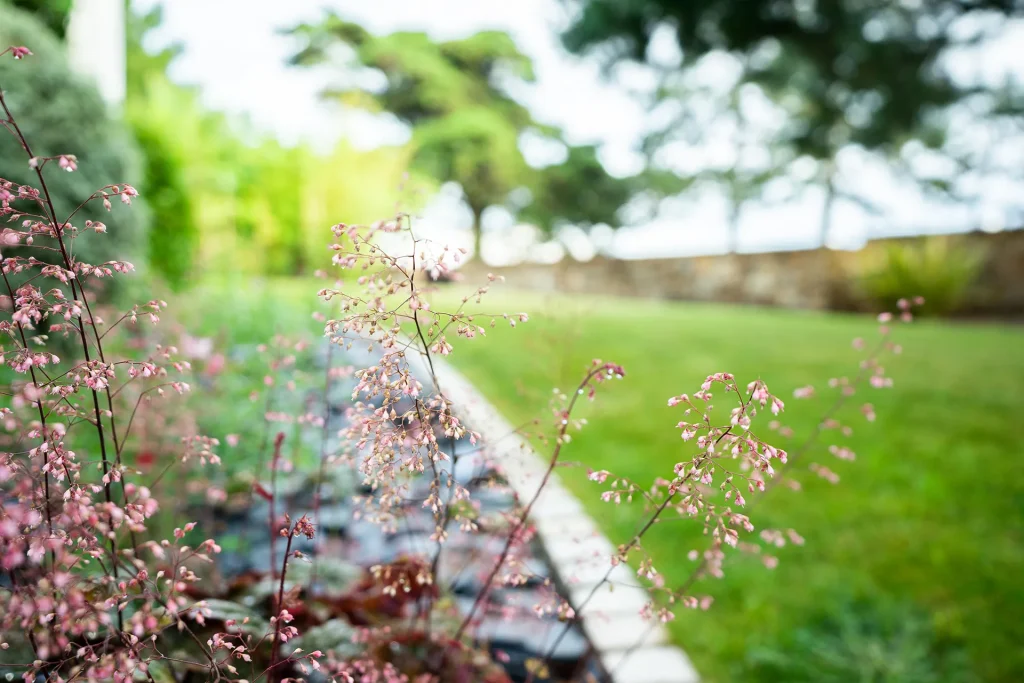 Réalisation projet Écrin de verdure par ID Jardin aux Sables d’Olonne
