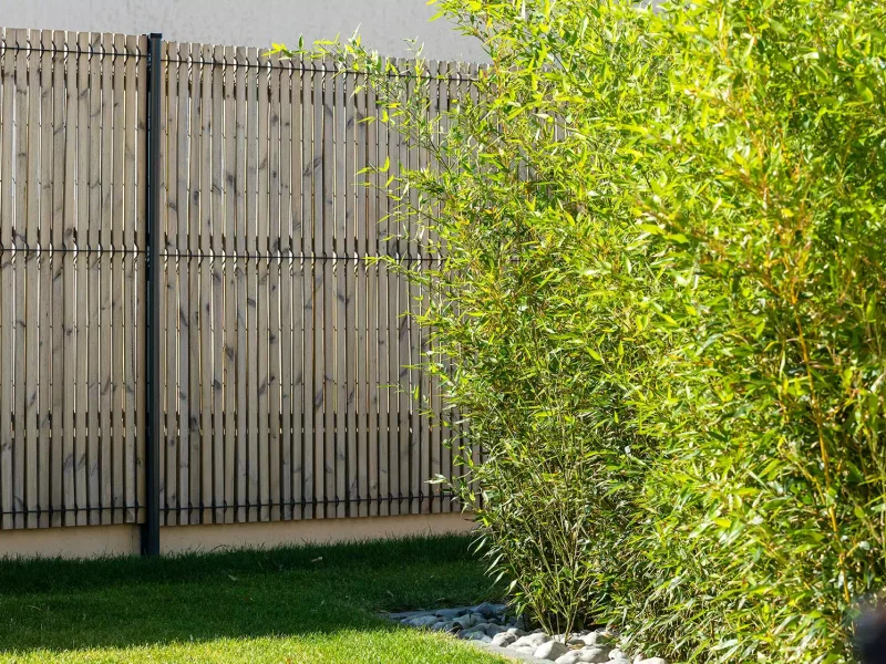 Création de jardin aux Sables d’Olonne par ID Jardin