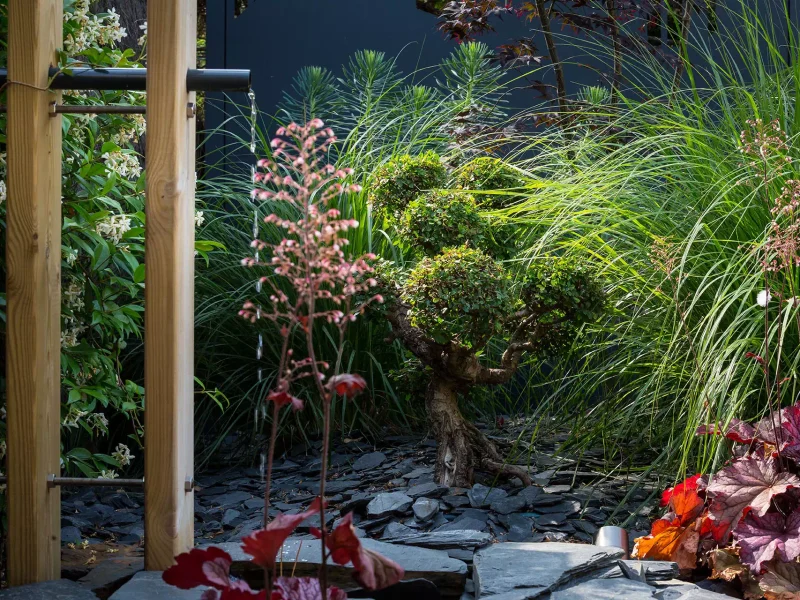Création de jardin aux Sables d’Olonne par ID Jardin
