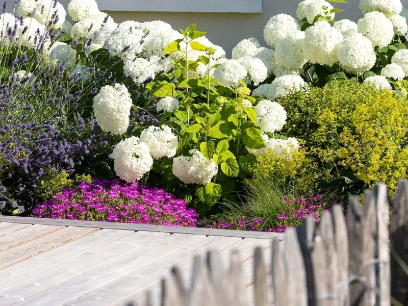 Création de jardin aux Sables d’Olonne par ID Jardin