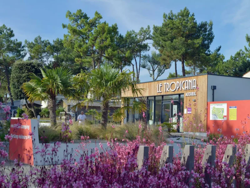 Espace pro aux Sables d’Olonne par ID Jardin